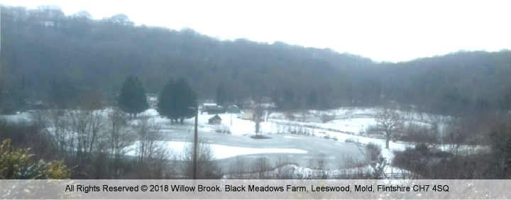 Willow Brook Reindeer Lodge