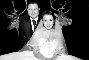 Wedding reindeer hire photograph